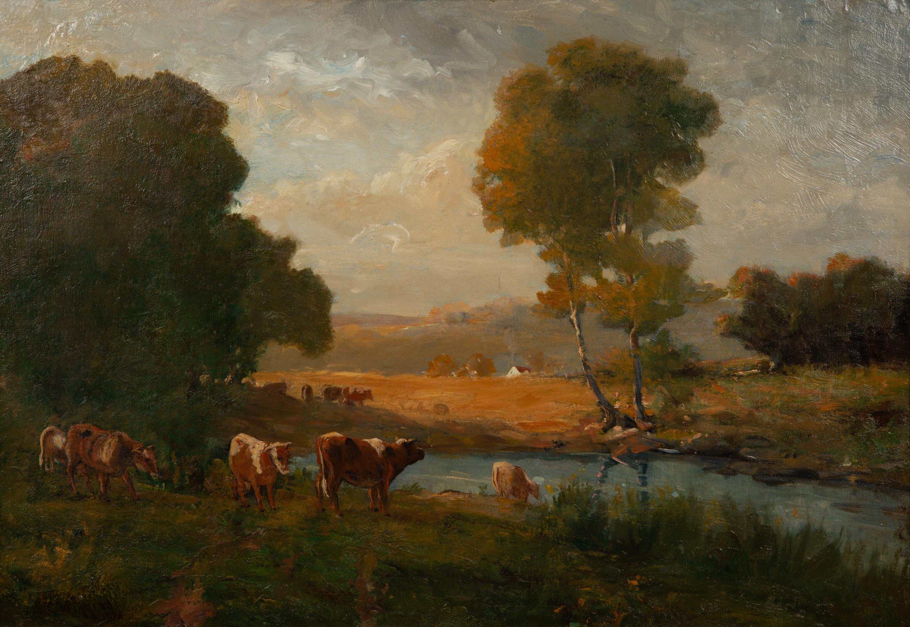 Cows Watering Near the Farm