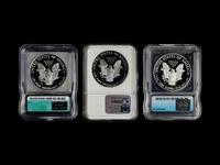 A Collection of Thirty-Seven Graded Silver Eagle $1 Proof Coins
