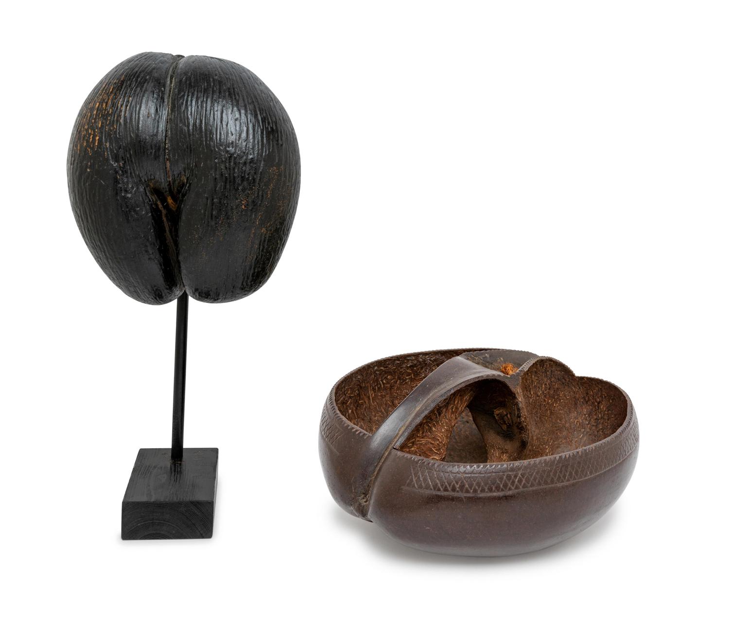 Two Coco de Mer Articles