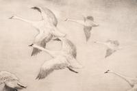 A Group of Three Dry-Point Etchings by Roland Clark (1847-1957)