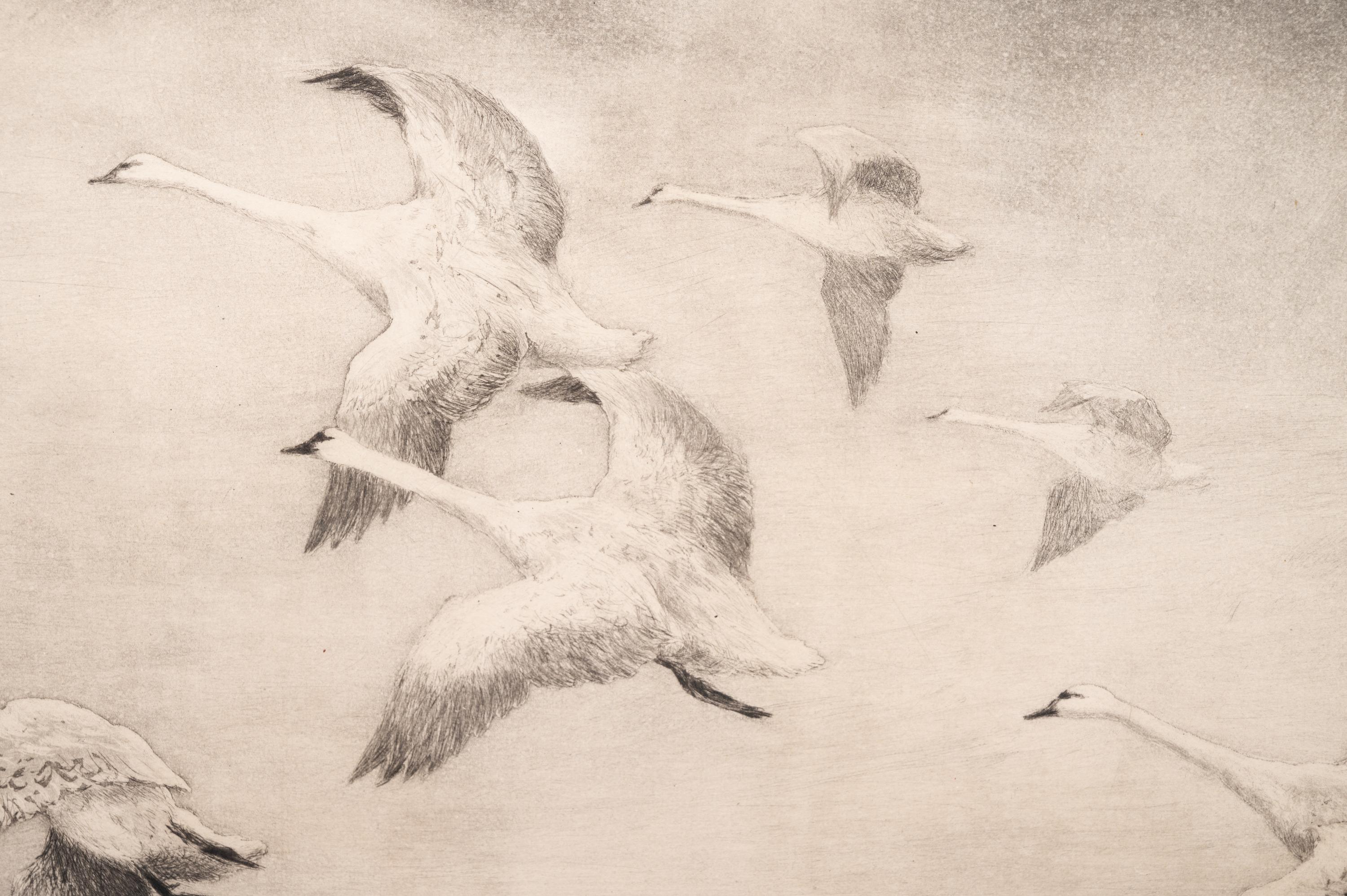 A Group of Three Dry-Point Etchings by Roland Clark (1847-1957)