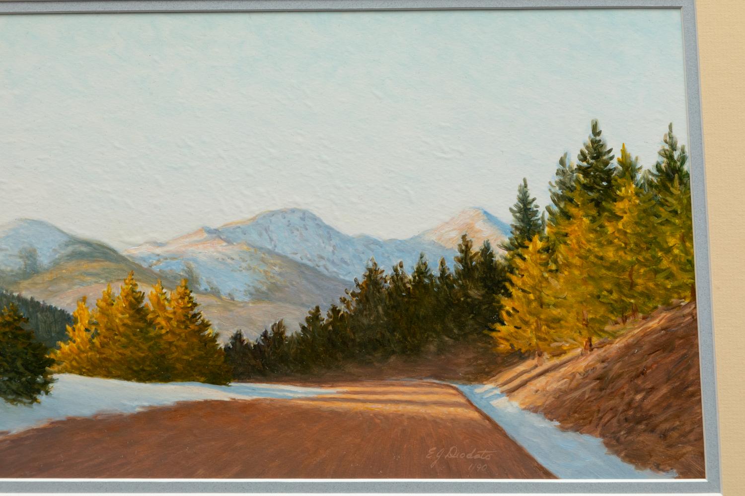 Late Afternoon Light on the Road to Bonanza (Colorado)