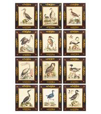 George Edwards (English, 1694-1773), A Set of Twelve Framed Hand-Colored Engravings Depicting Various Birds
