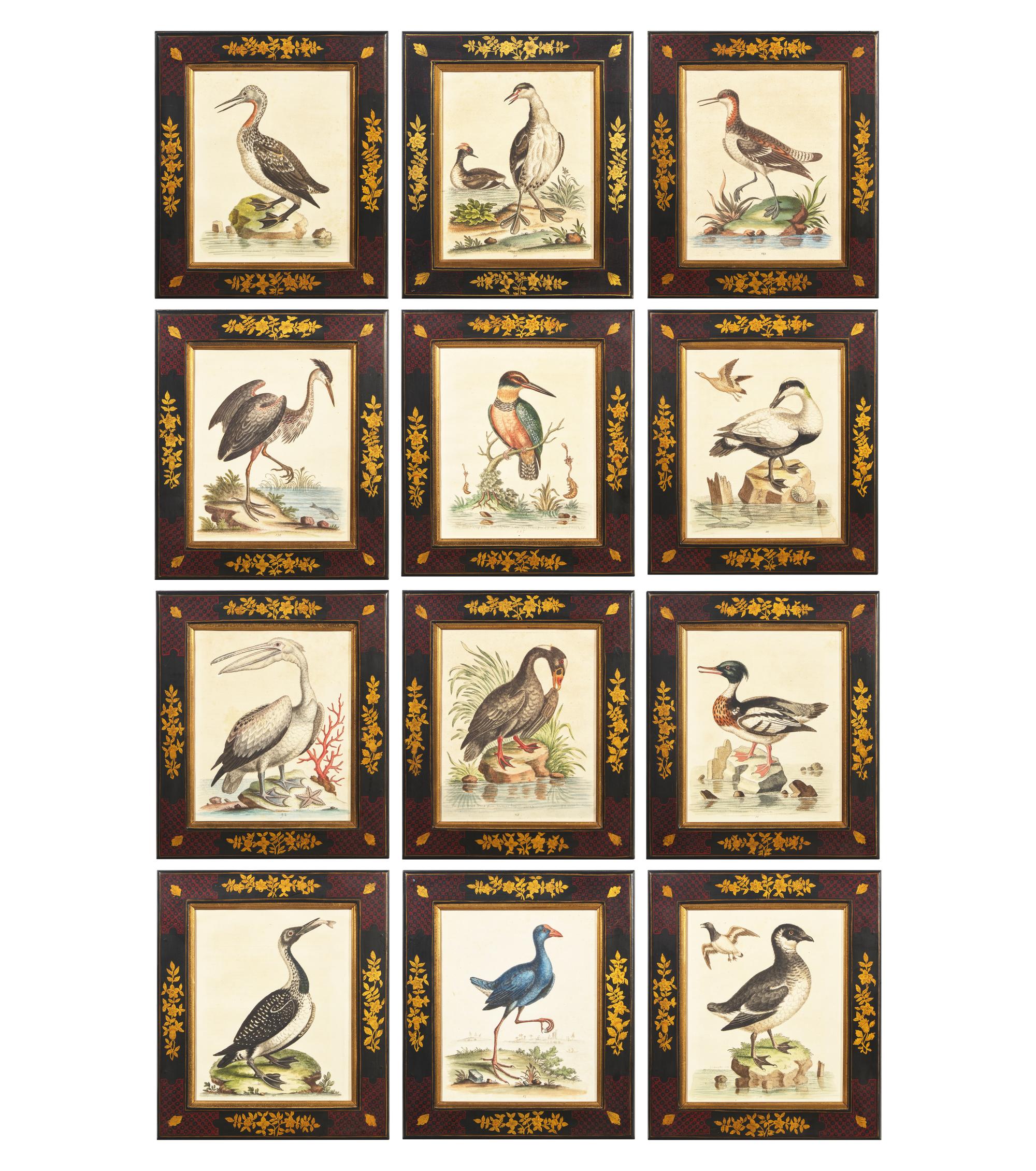 George Edwards (English, 1694-1773), A Set of Twelve Framed Hand-Colored Engravings Depicting Various Birds
