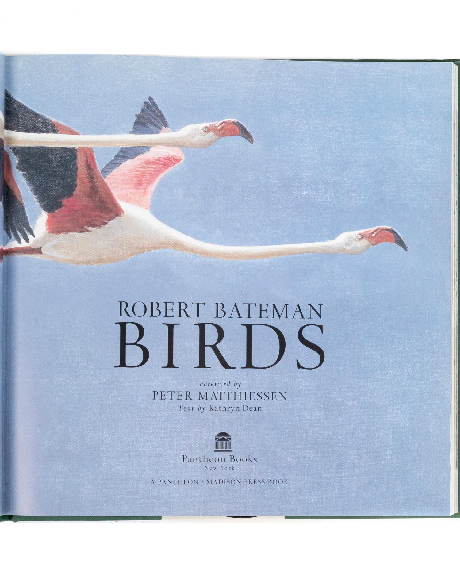 Peregrine in Flight , Proof 1; together with book, Birds: Robert Bateman