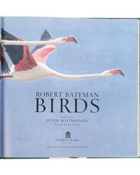 Peregrine in Flight , Proof 1; together with book, Birds: Robert Bateman