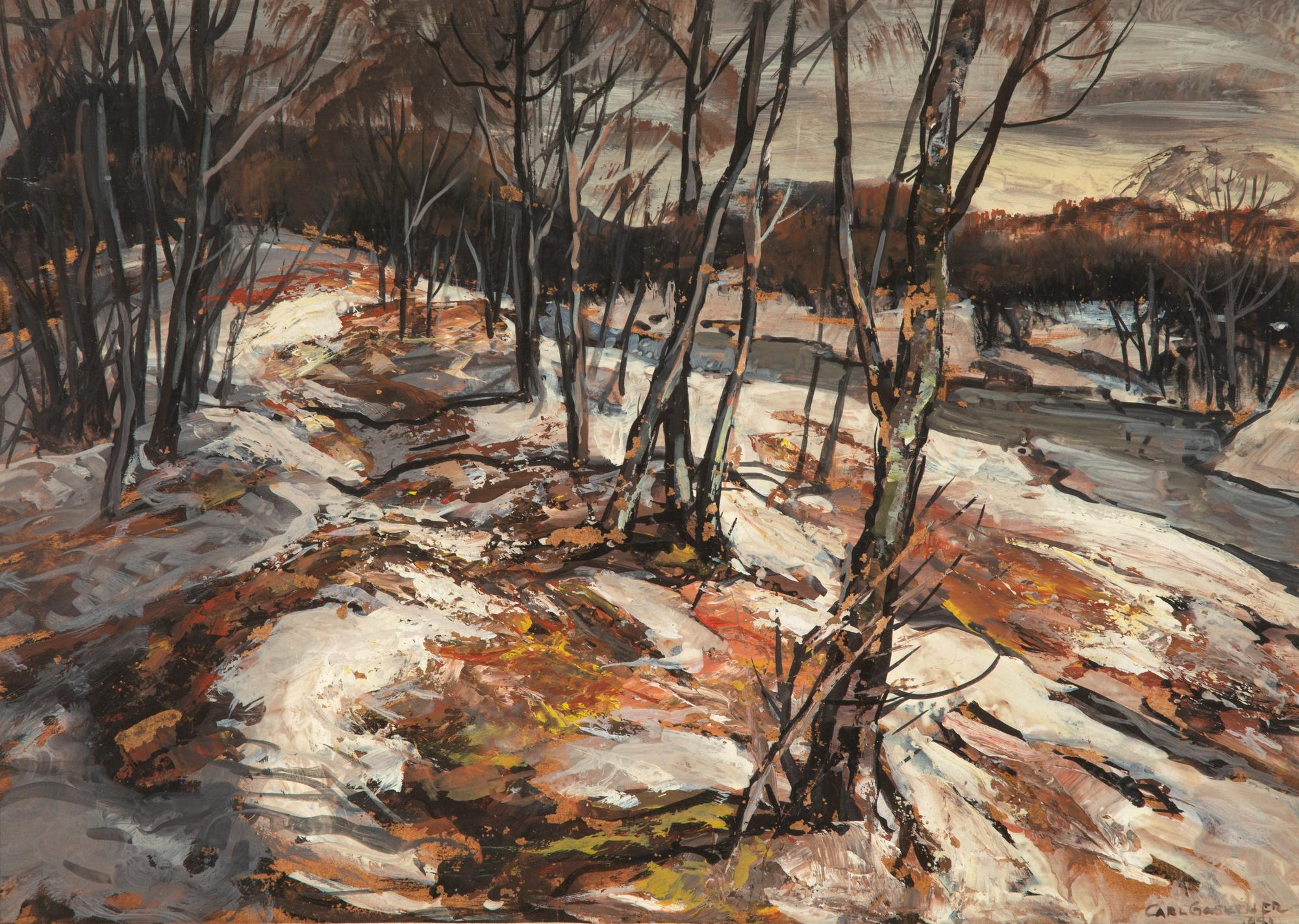Winter Forest with Stream