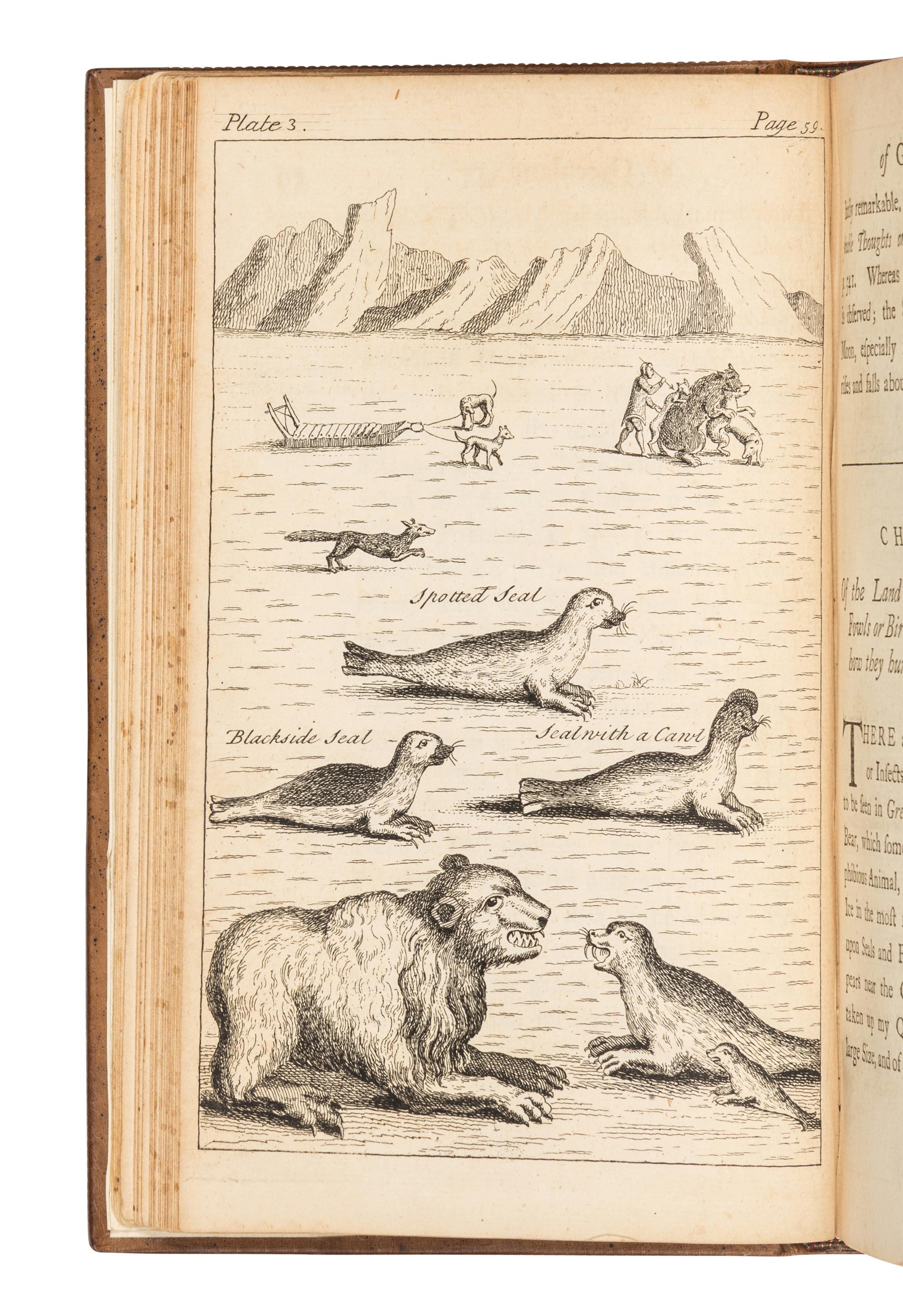 EGEDE, Hans Povelson (1686-1758). A Description of Greenland, Shewing the Natural History, Situation, Boundaries, and Face of the Country . London: C. Hitch et al, 1745.