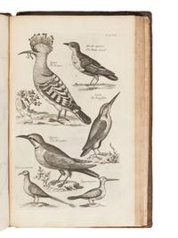 [NATURAL HISTORY]. WILLUGHBY, Francis (1635-1672) and RAY, John (1627-1705). The Ornithology of Francis Willughby of Middleton in the County of Warwick, Esq. London: John Martyn, 1678.