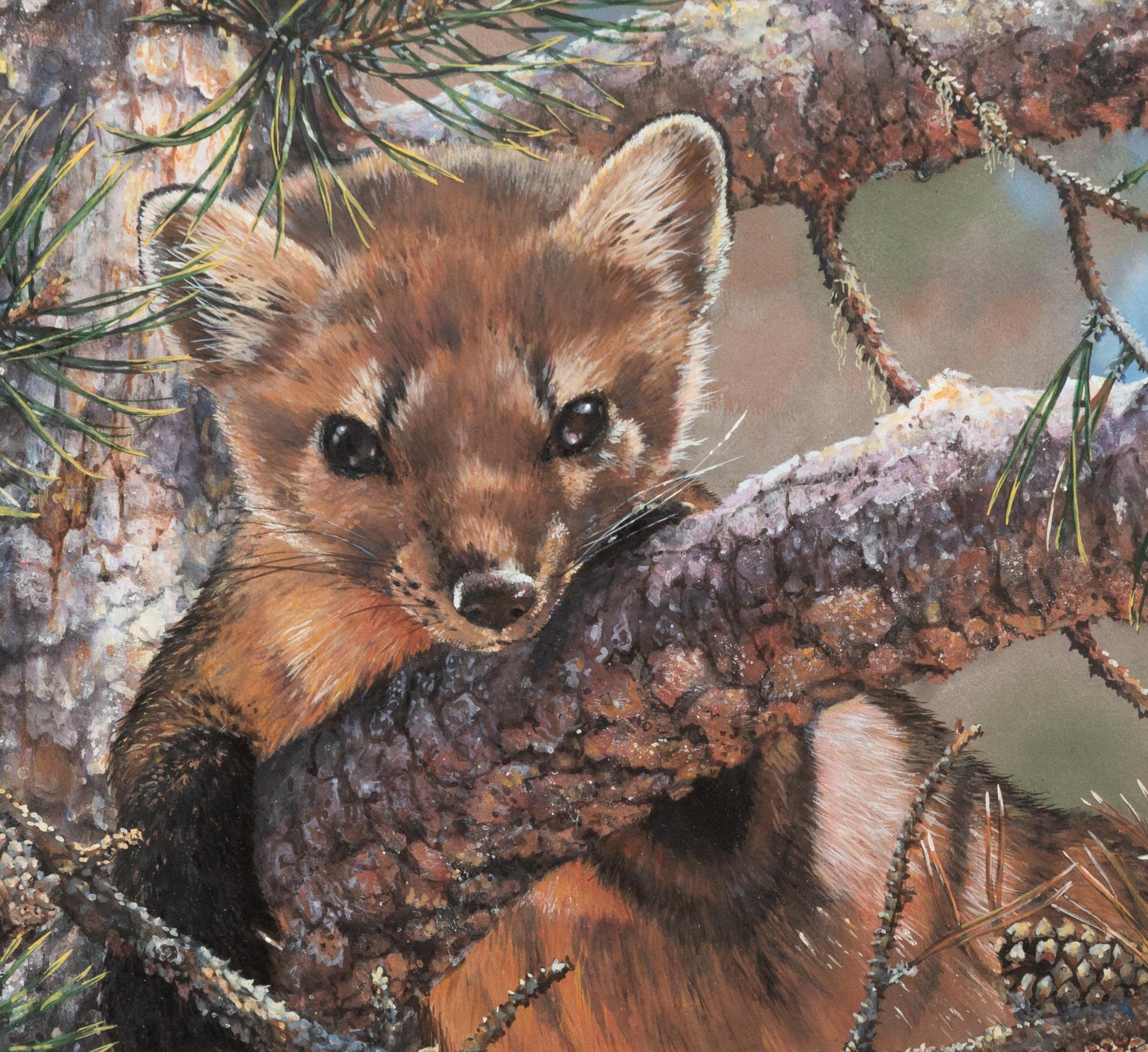 River Otter in a Tree