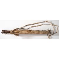 Southern Plains Hide Quiver