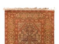 An Agra Runner