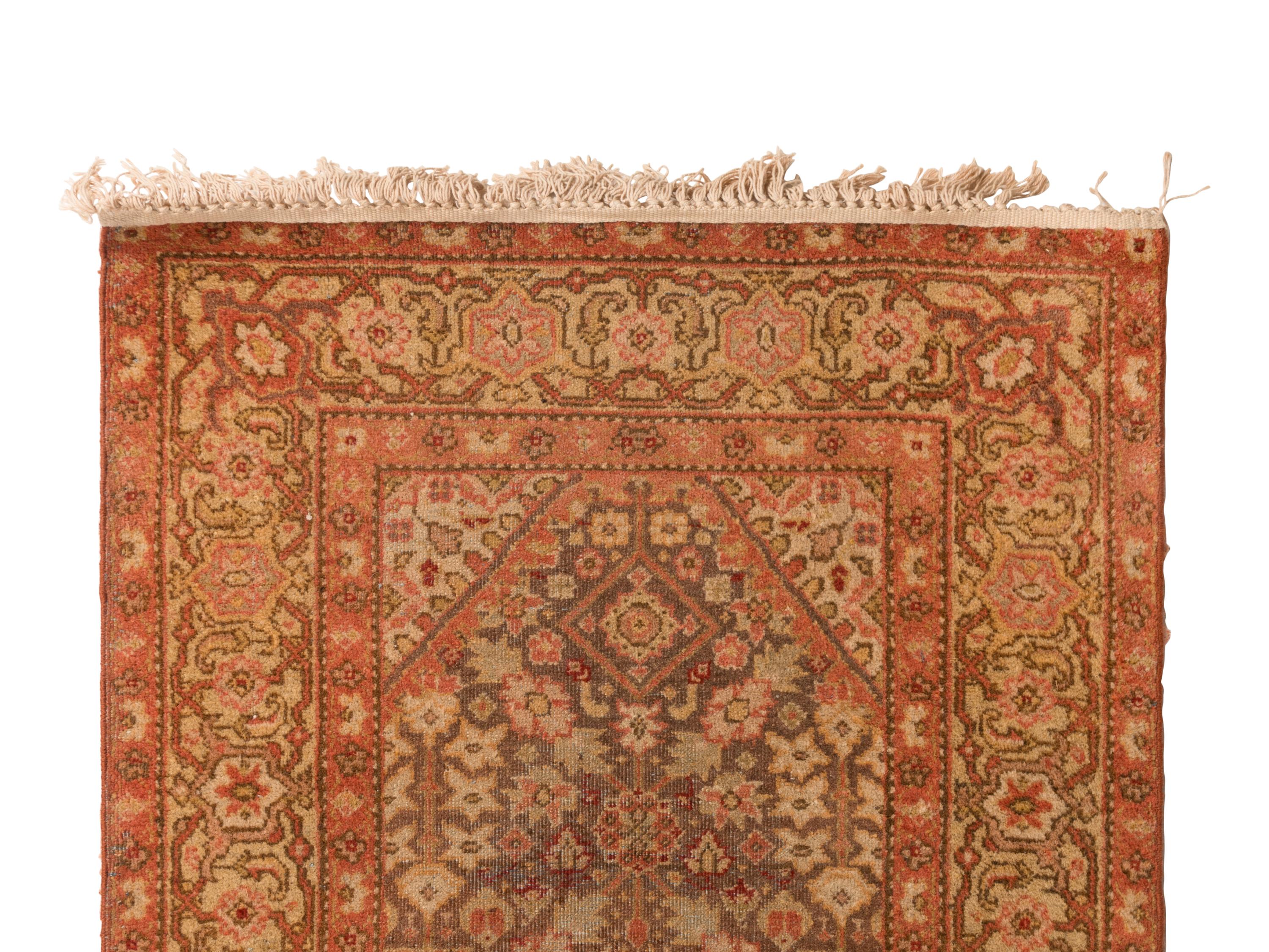 An Agra Runner