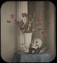 [Contemporary Daguerreian Still Life by Robinson]