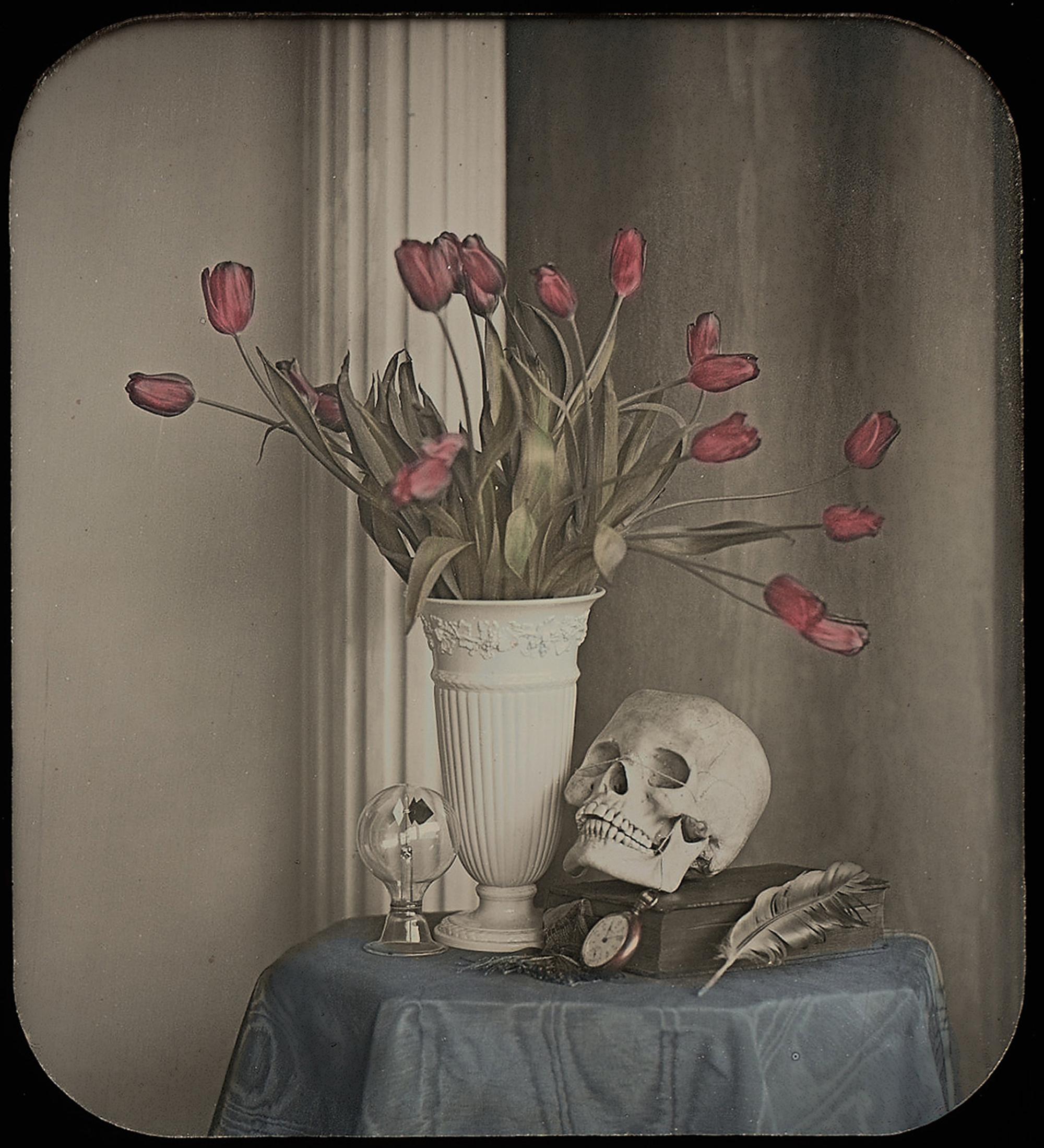 [Contemporary Daguerreian Still Life by Robinson]