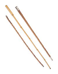 A Group of Eight Canes and Walking Sticks