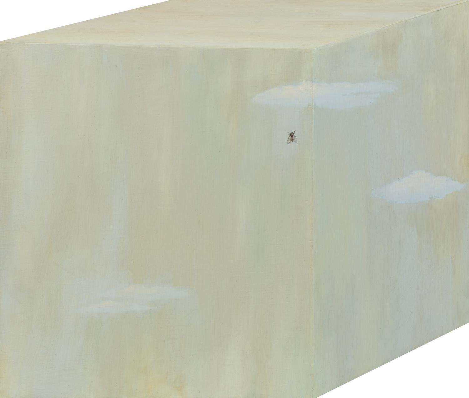 Sky with Fly