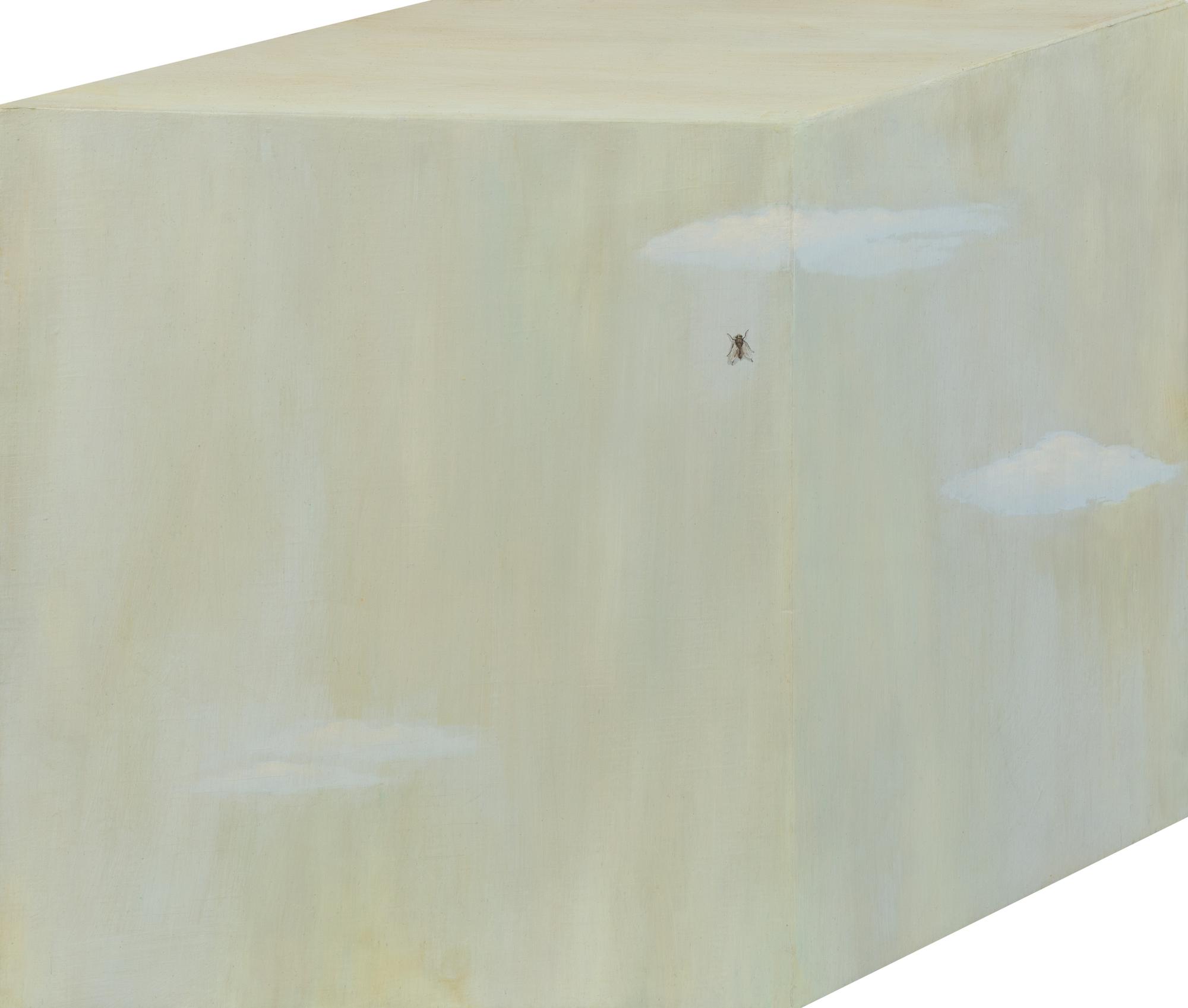 Sky with Fly