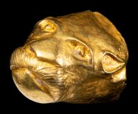An Achaemenid Hollow Gold Head of Lion