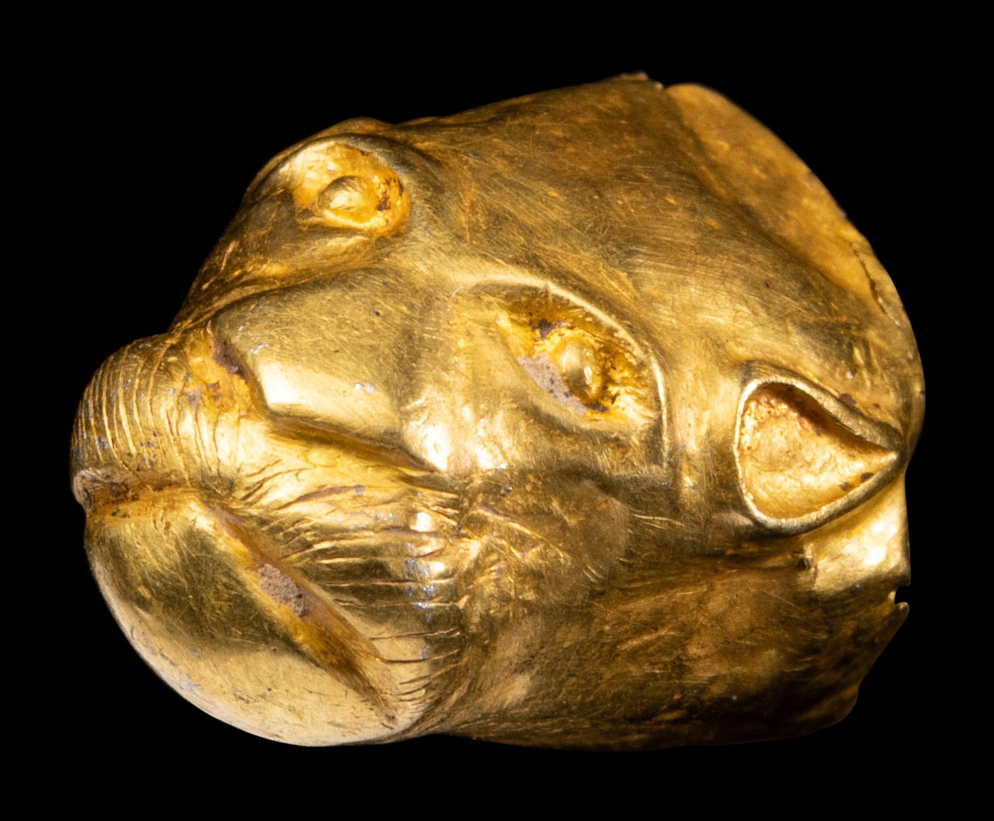 An Achaemenid Hollow Gold Head of Lion