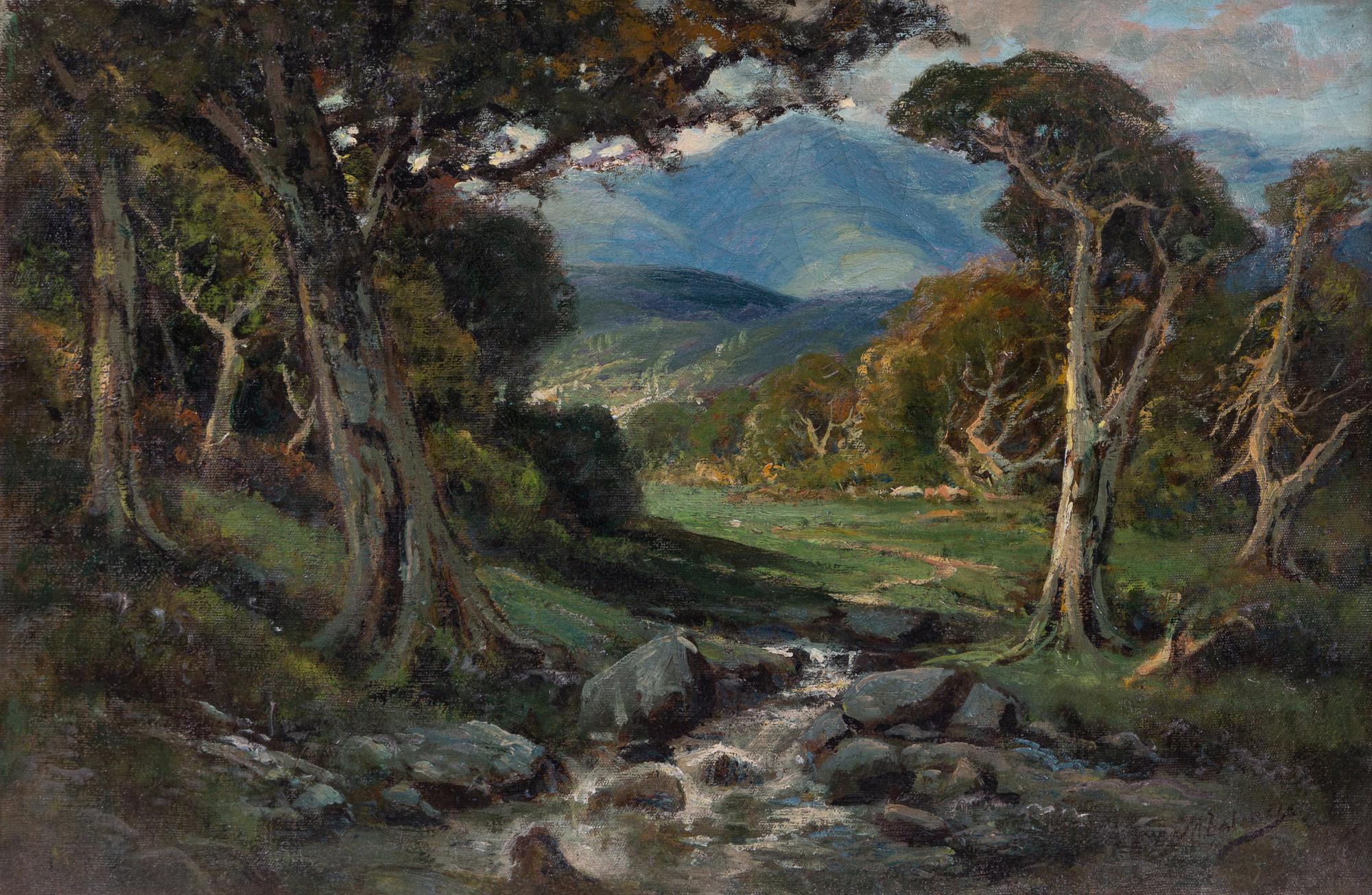 California Scene