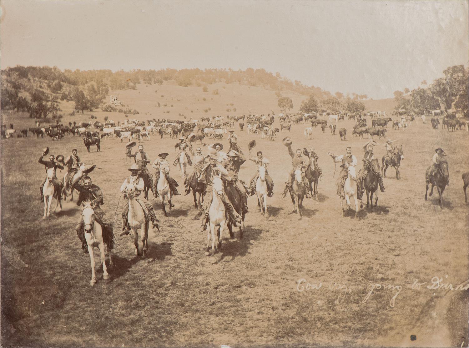 [WESTERN AMERICANA - NEW MEXICO]. Album containing photographs of cowboys and cattle in Colfax County, New Mexico, incl. views of the Urraca Ranch. Ca 1885-1895.