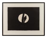 Untitled (Woodpecker)
