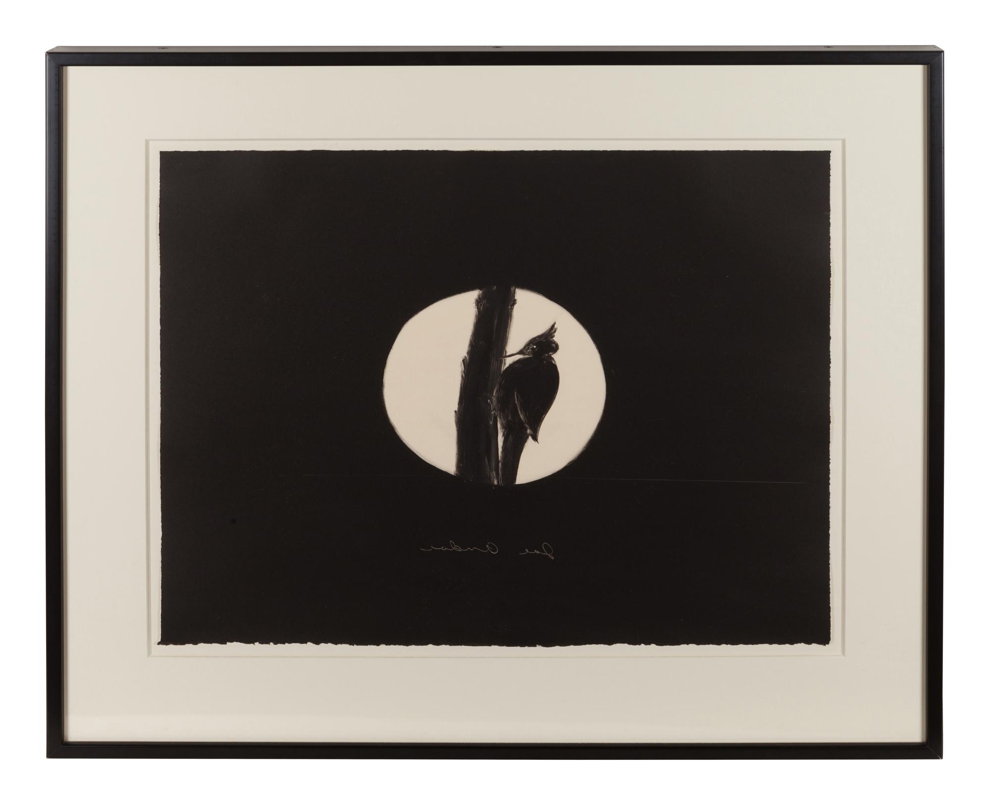 Untitled (Woodpecker)