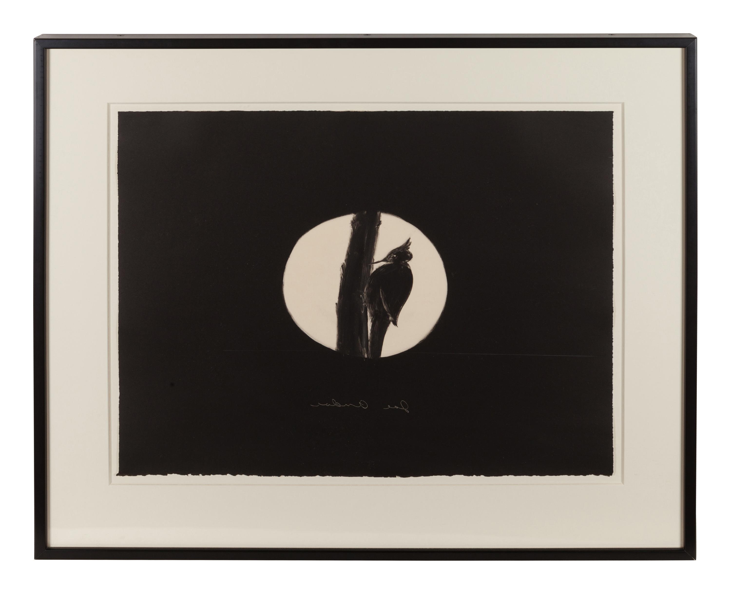 Untitled (Woodpecker)