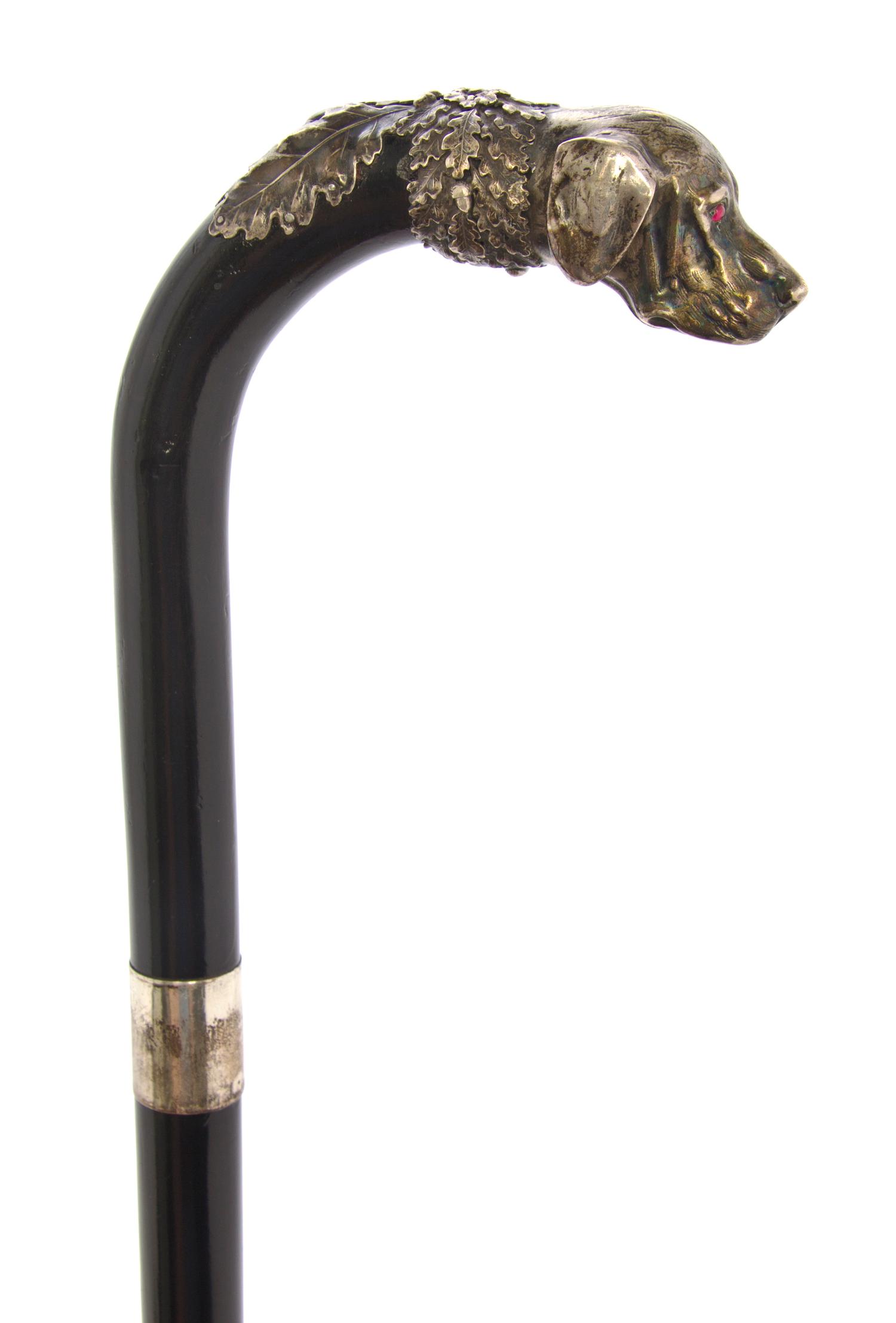 An Austrian Silver Handled Cane, Habsburg, Length of handle 4 x length overall 36 inches.