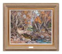 Sycamore Creek