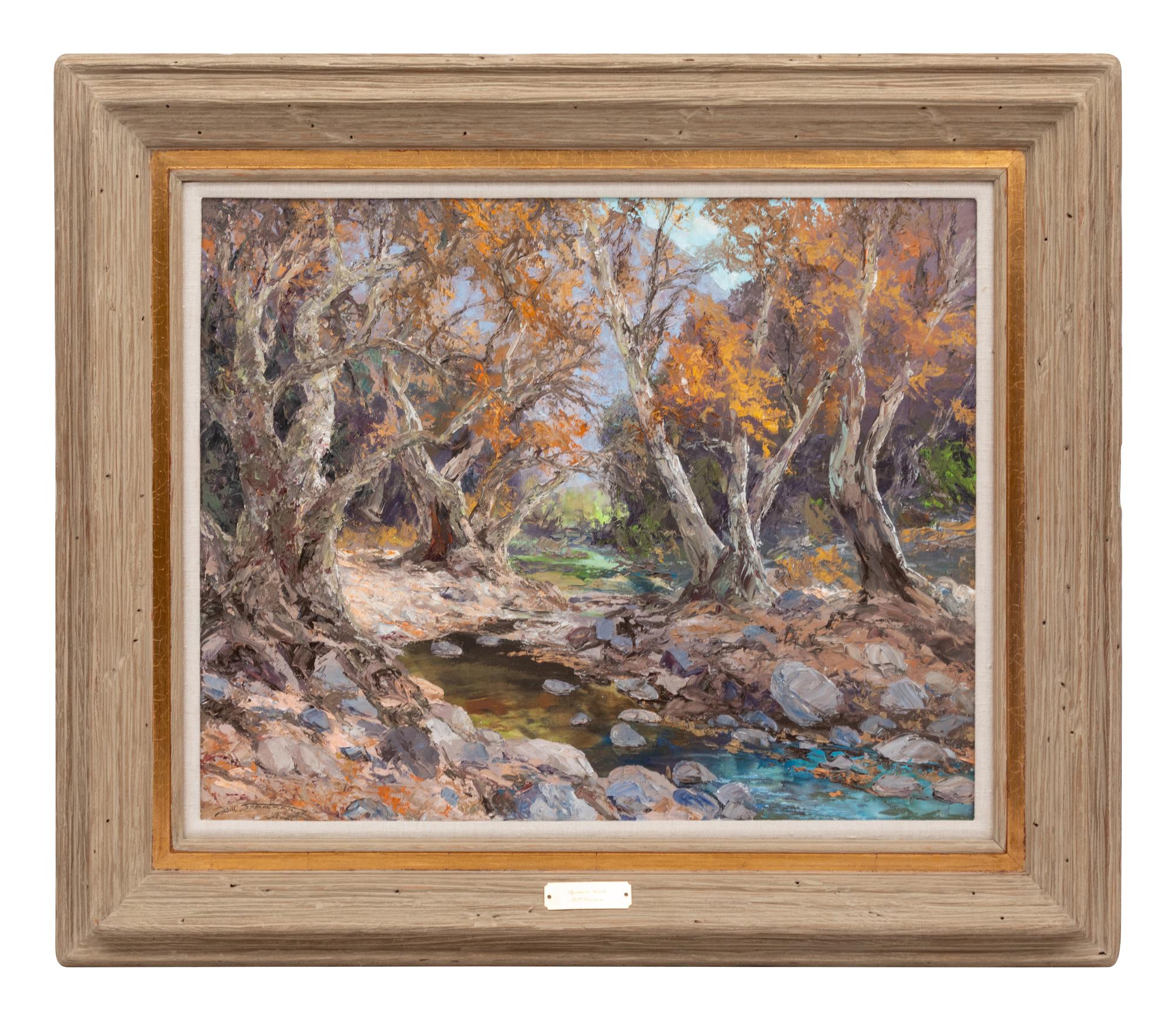 Sycamore Creek