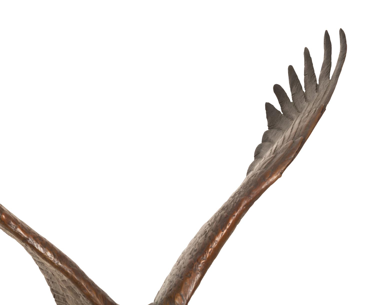 Bald Eagle , edition 16/25