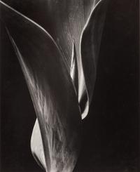 Ten Photographs: California , 1930-1937