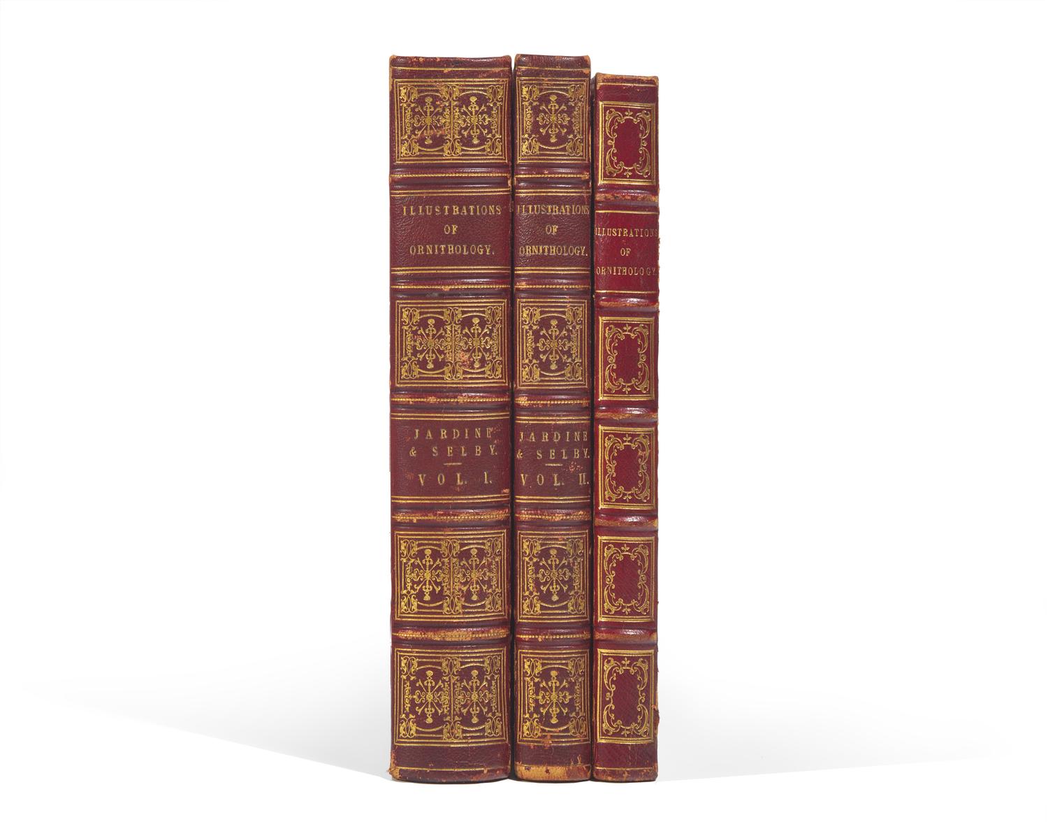 [Natural History] Jardine, Sir William, and Prideaux John Selby. Illustrations of Ornithology