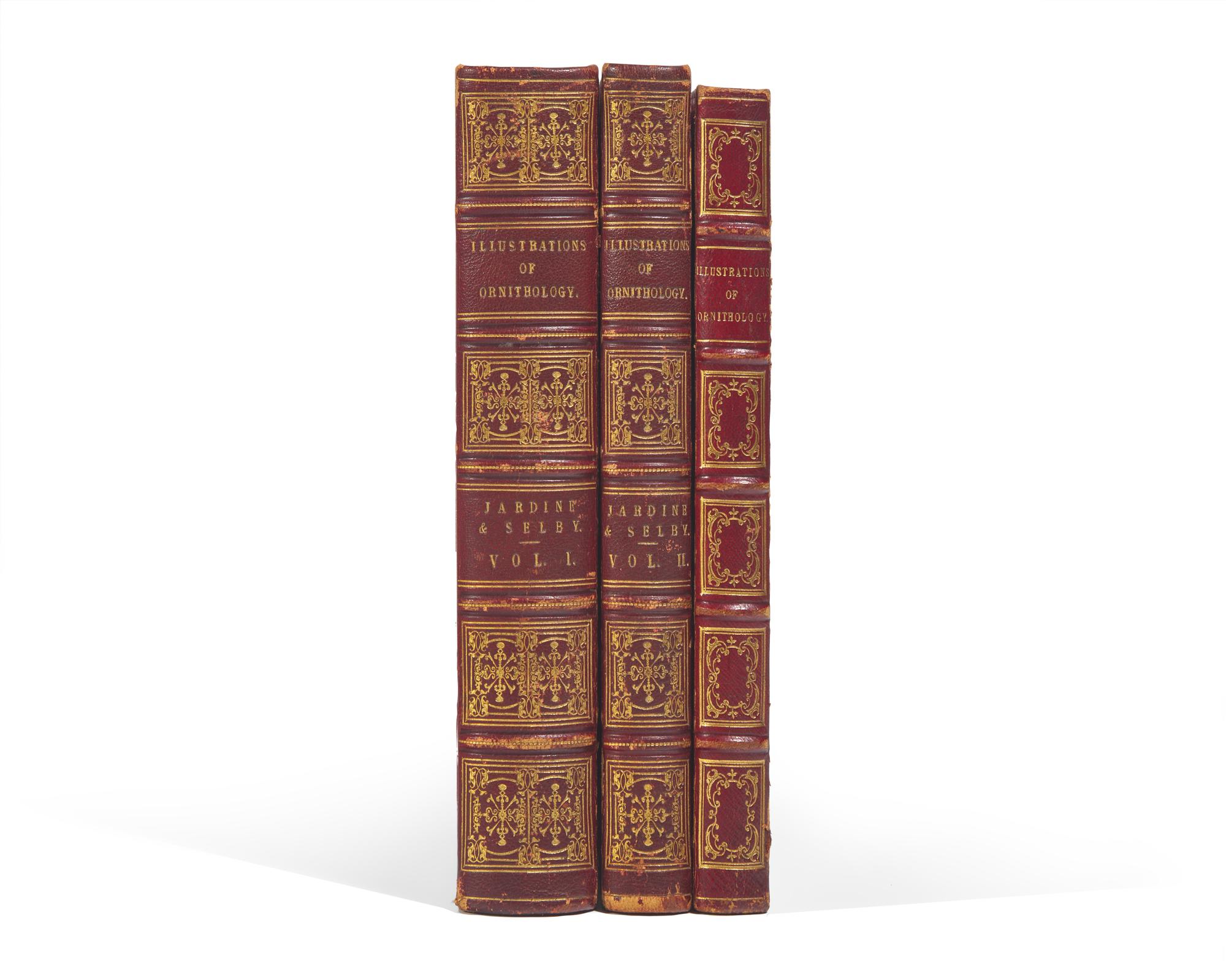 [Natural History] Jardine, Sir William, and Prideaux John Selby. Illustrations of Ornithology