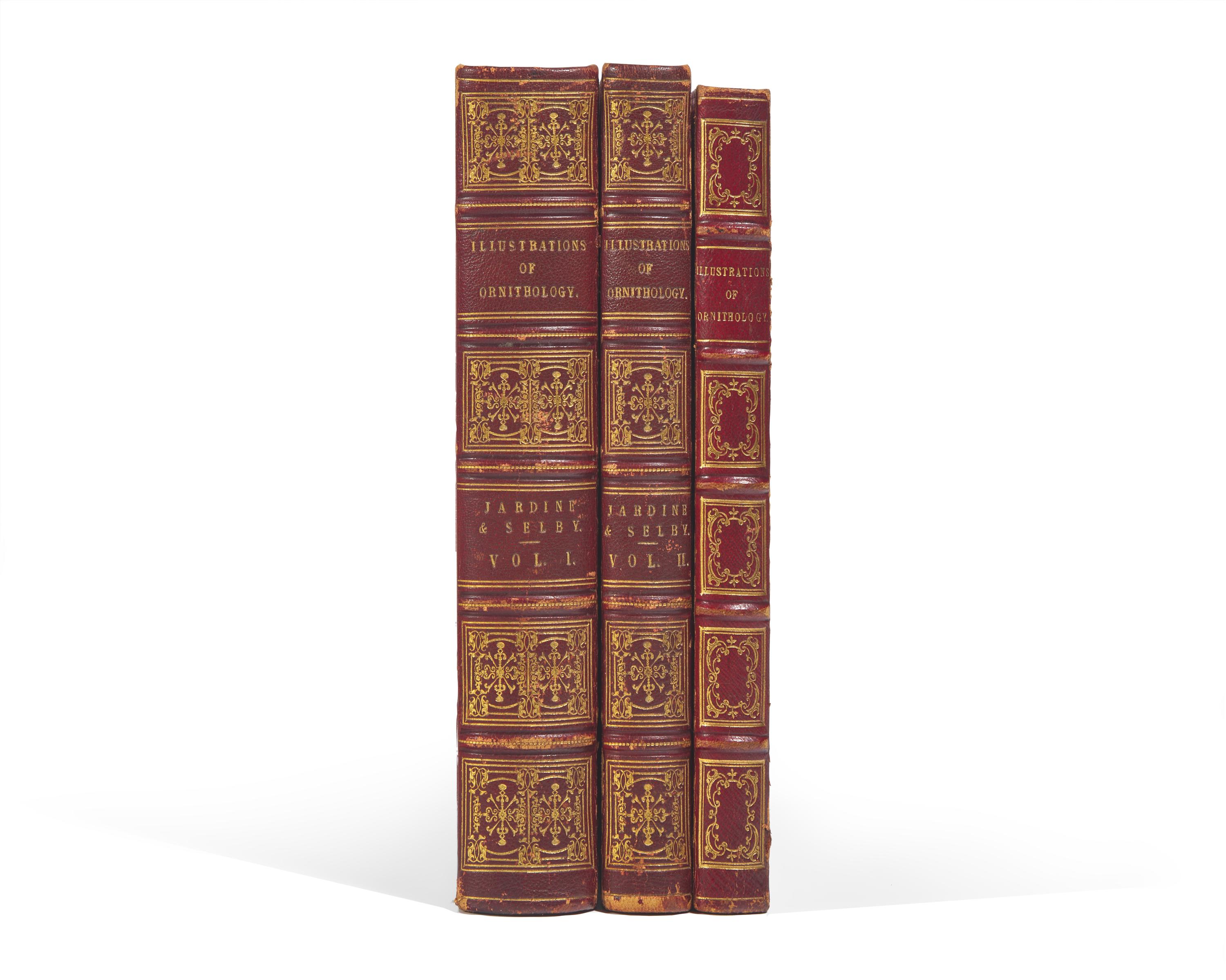 [Natural History] Jardine, Sir William, and Prideaux John Selby. Illustrations of Ornithology