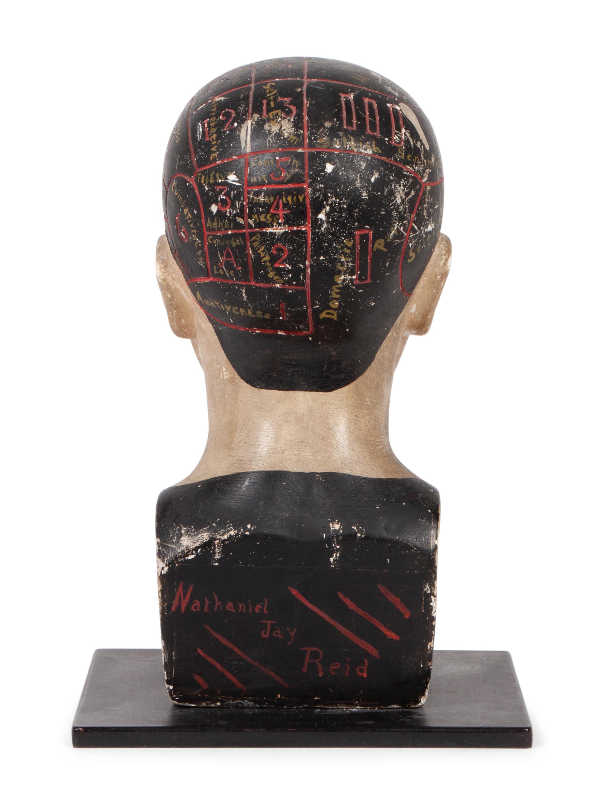 A Chalkware Phrenology Head