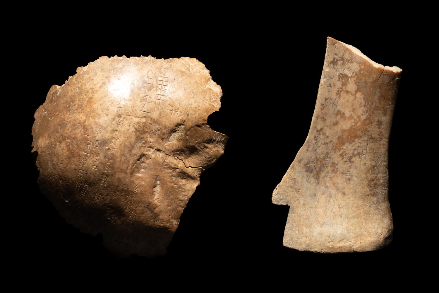 Four Oracle Bones
