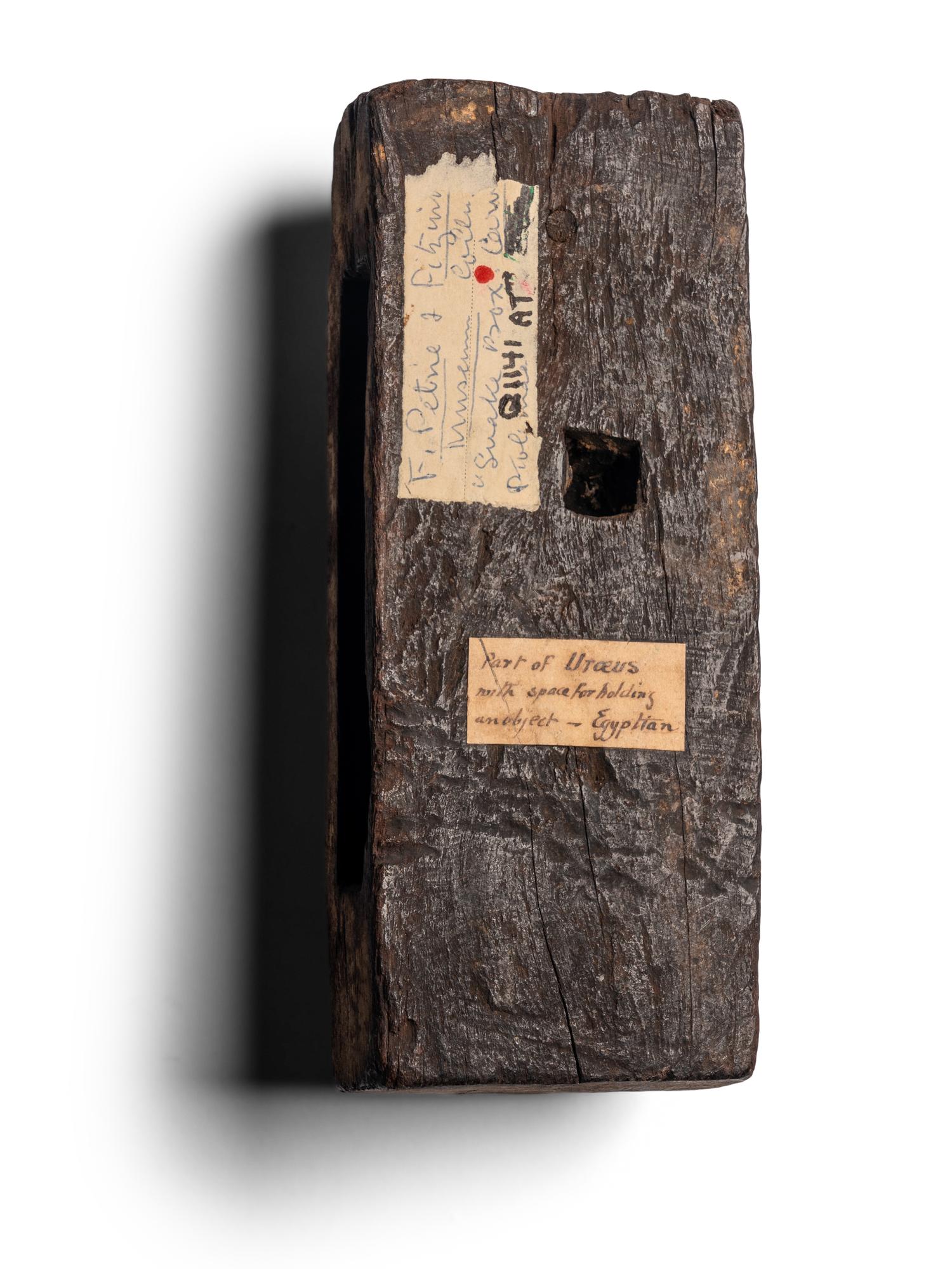 An Egyptian Wood Snake Coffin