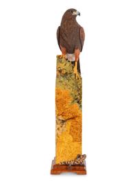 Harris' Hawk - Desert Arrow