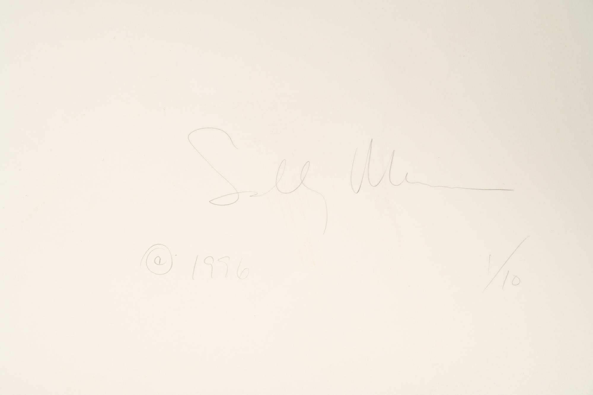 Georgia Untitled (Dodd's Farm), from the series Georgia