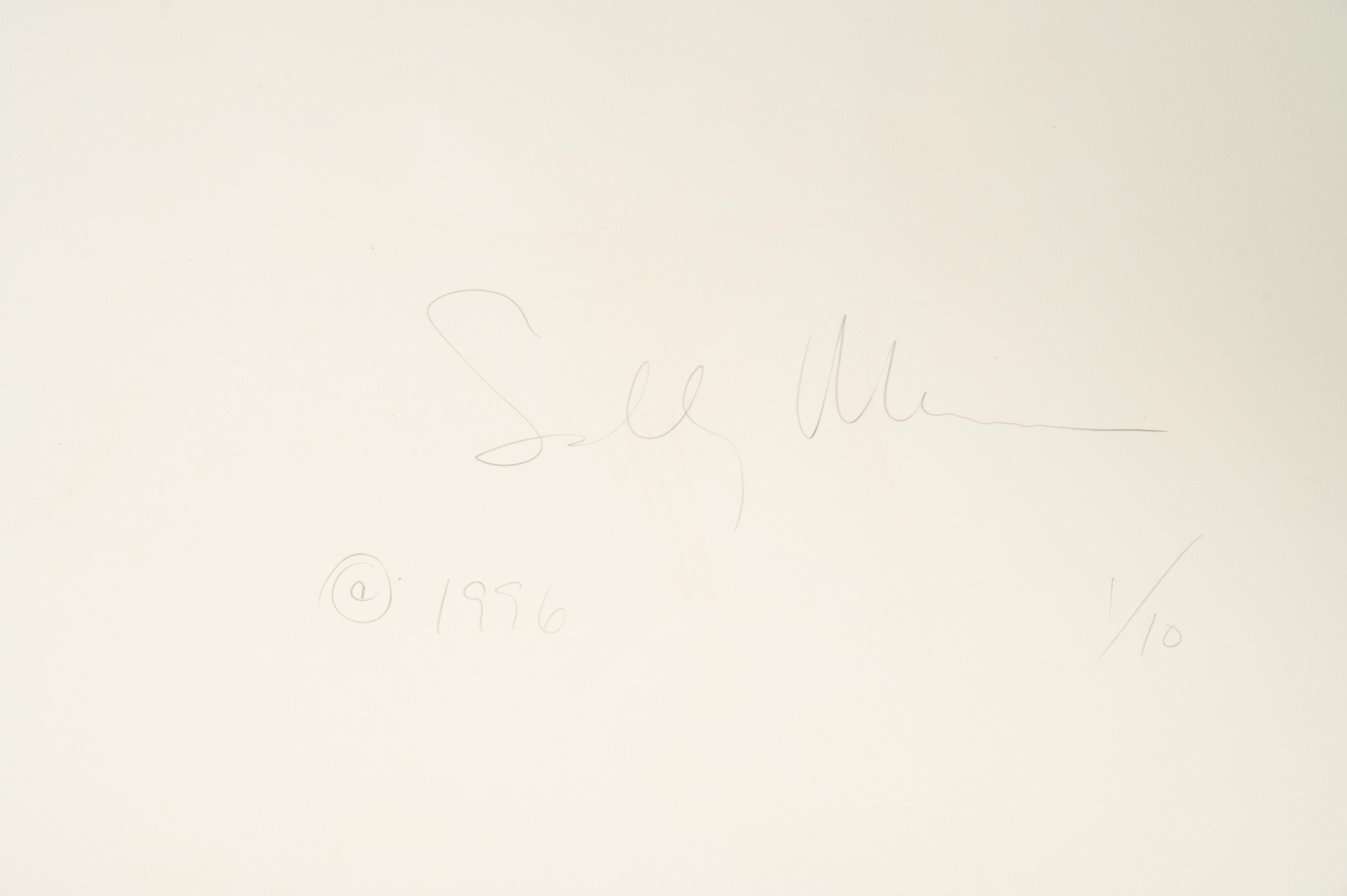 Georgia Untitled (Dodd's Farm), from the series Georgia