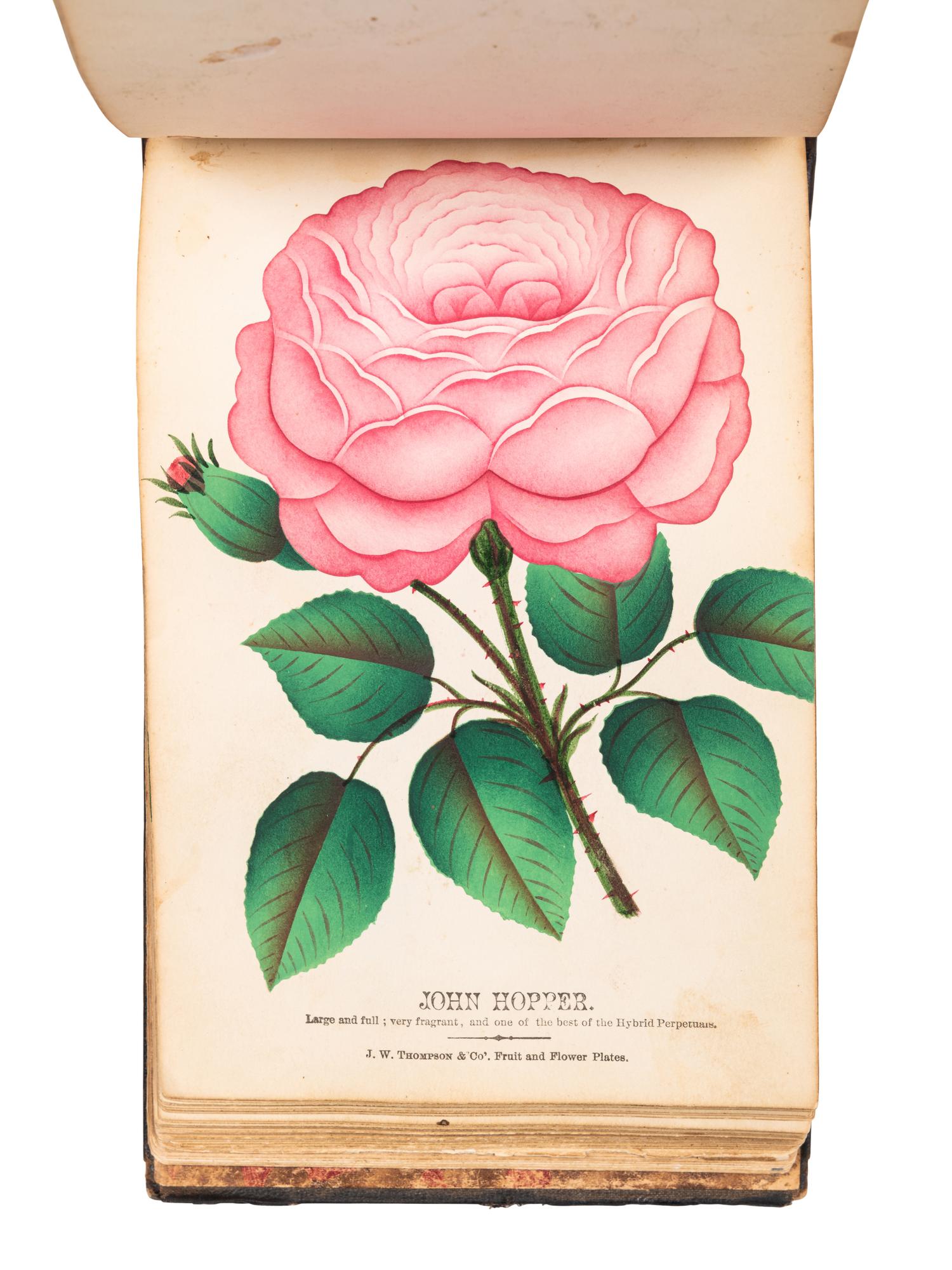 [SALESMAN'S CATALOGUE]. Nurseryman's Plant Catalog. Rochester, NY: for J. W. Thompson & Co., ca 1880.
