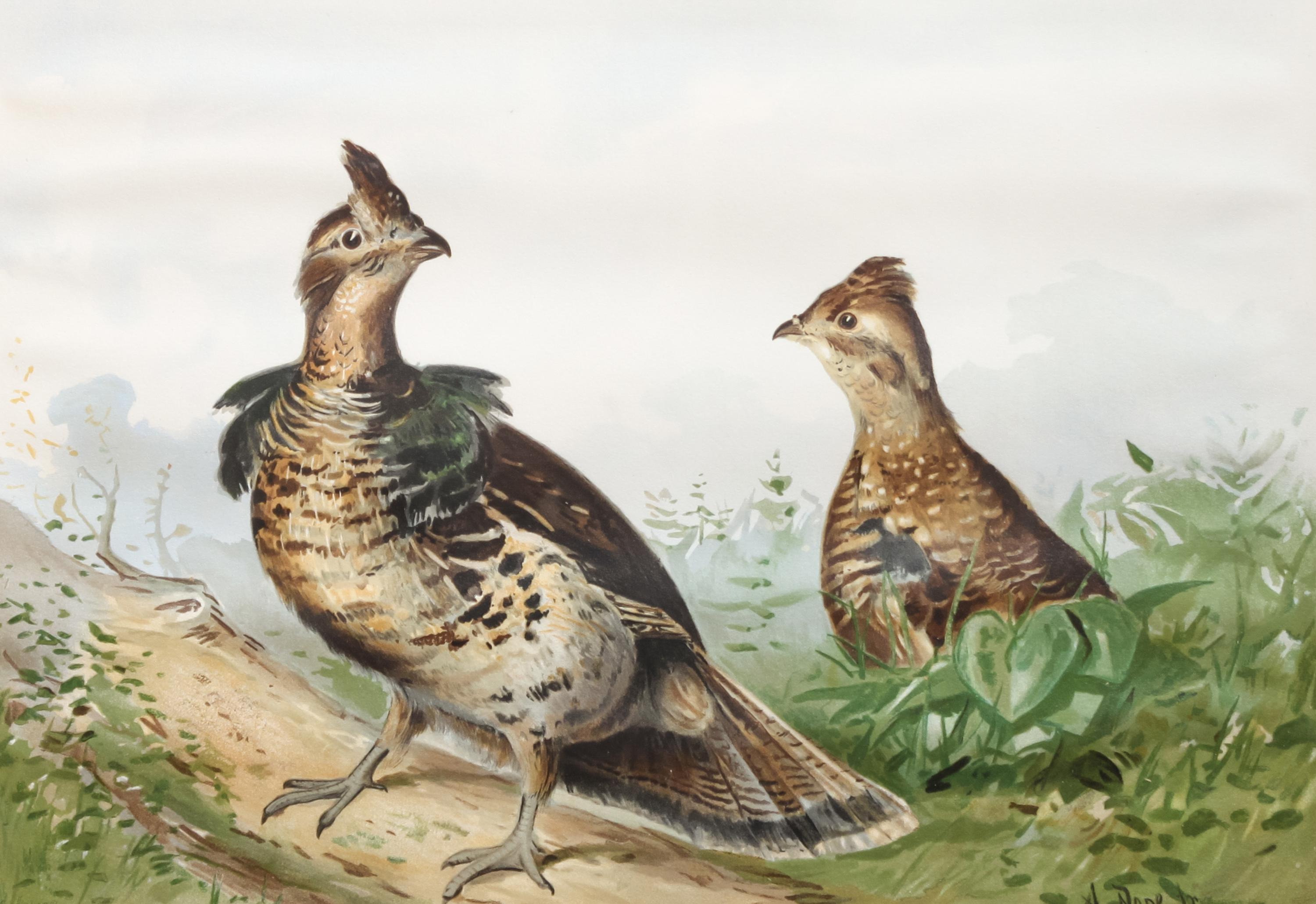 Alexander Pope Jr., (American, 1849-1924), chromolithograph Upland Game Birds and Waterfowl of the United States portfolio of 22 prints