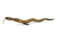 An English Silver Mounted Antelope Horn Snake-Form Cigar Lighter