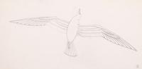 Study for Seagull , c. 1939