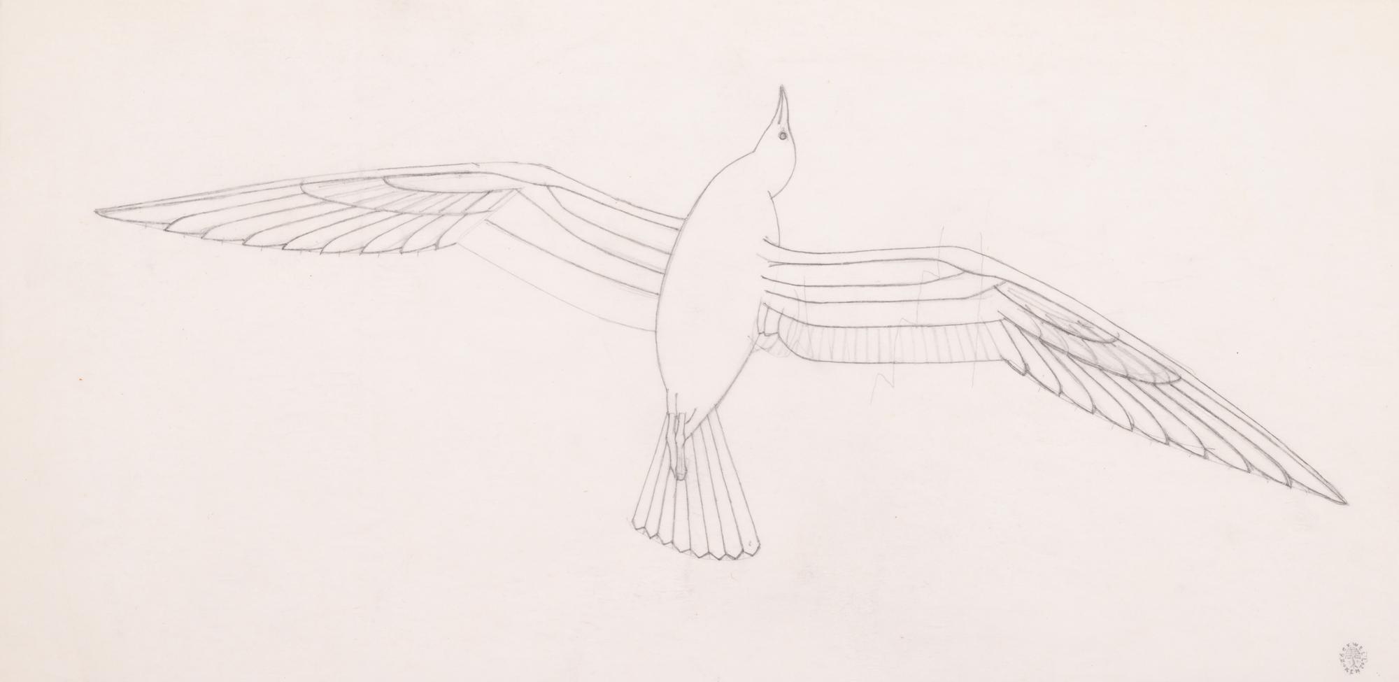 Study for Seagull , c. 1939