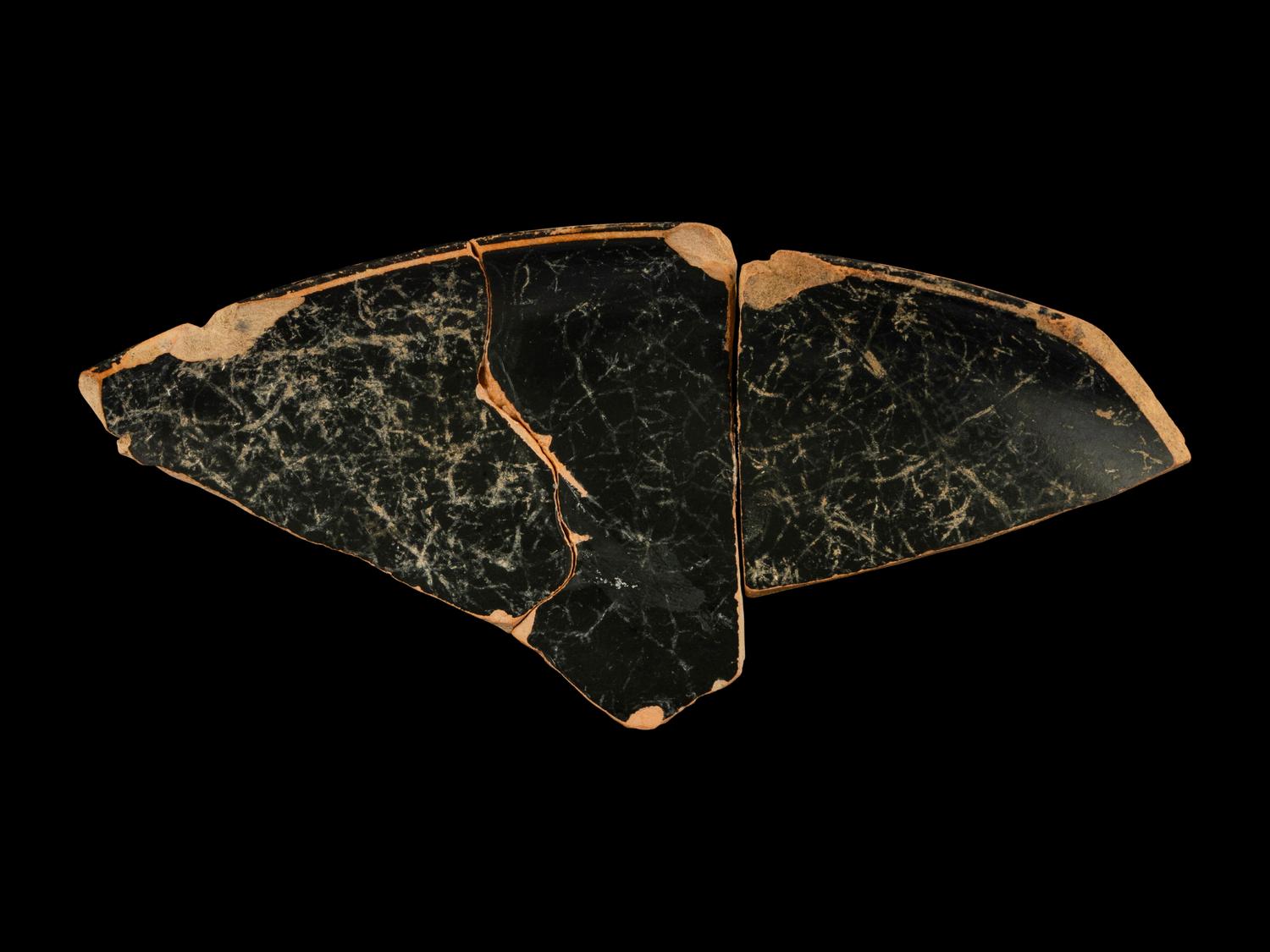 Two Attic Red-Figured Cup Fragments with Satyrs