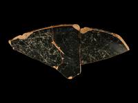 Two Attic Red-Figured Cup Fragments with Satyrs